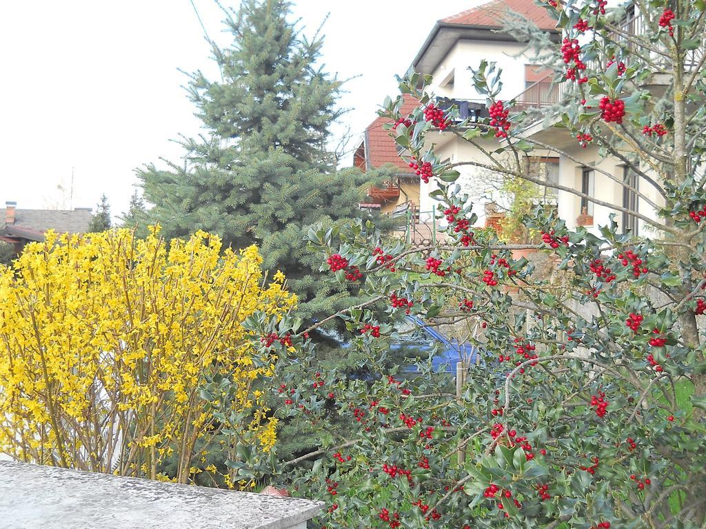 Apartment & Rooms Miboti Samobor Luaran gambar